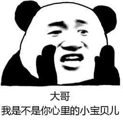 小哥哥表情包熊猫