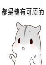 都是情有可原的仓鼠表情包好玩吗都是情有可原的仓鼠表情包怎么玩用户评论