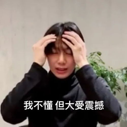 表情包拿放老师蔡亨源专题系列