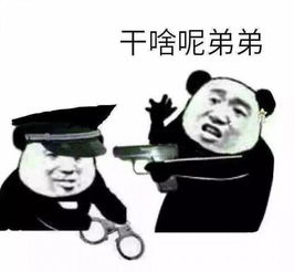 熊猫头表情包当场抓获当场逃脱反手逮捕当场击毙