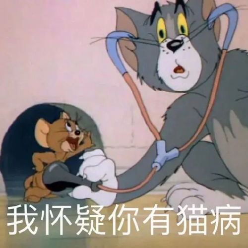 精选表情包,绝对有你想不到的