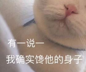 每集都在马赛克,这才是今年最不该错过的国产宝藏