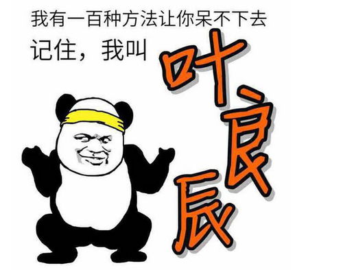 叶良辰暴漫表情包完整