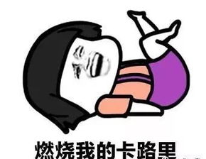 你年夜饭吃什么春节期间在哪儿玩大数据都知道