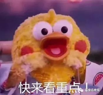 重要通知即日起,这些时间段秦皇岛这条道禁行