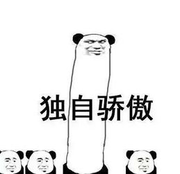 闪亮登场图片表情包寻回