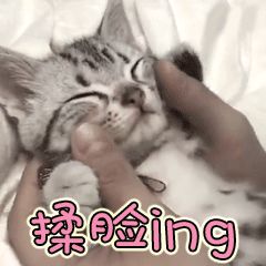 大家有没有揉脸的动图表情包