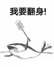 怕是失了志表情包