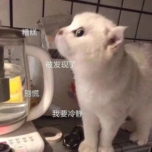 沙雕表情包67.0