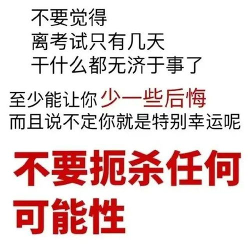 考研卷不过,表情包可不能输
