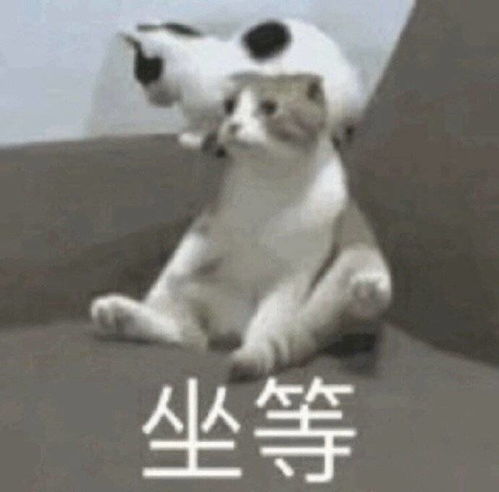 把人删了又加回来验证的时候要说什么