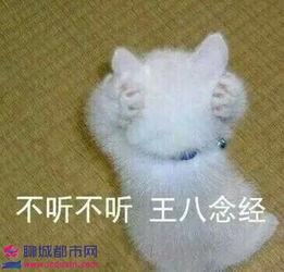 王八家族表情包图片大全的见