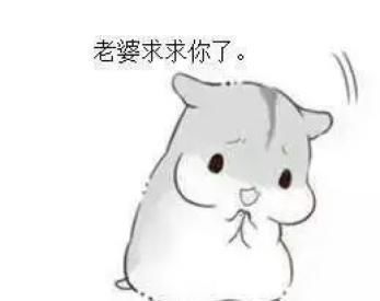 哄老婆表情包老婆大人对不起好喜欢老婆我老婆超级可爱