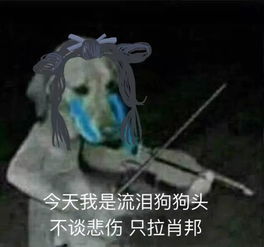 吸欧气有因必有果,天然四孔鬼杖和欧气通通都归我