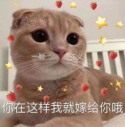 今日嘉宾推荐wo来了,92年银行工作家境优越小姐姐,我在这里,你在哪里