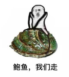 皮皮猪最新表情包下载皮皮猪我们走表情包下载高清无水印腾牛下载