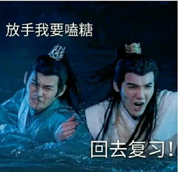陈情令蓝忘机面前,魏婴谈论女修雅正含光君的反应也是绝了