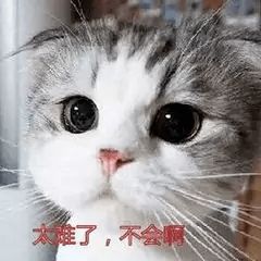 丁丁老师的个人展示页
