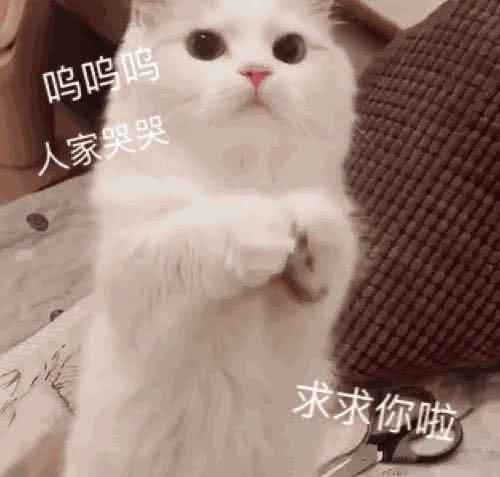 打游戏菜被队友骂了用表情包回怼不是我菜,手冷,手冷你懂吧