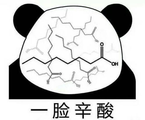 有没有关于学习知识的表情包比如一脸辛酸的那种化学表情包,还有如果我会英语我怎么会是这个样子之类的
