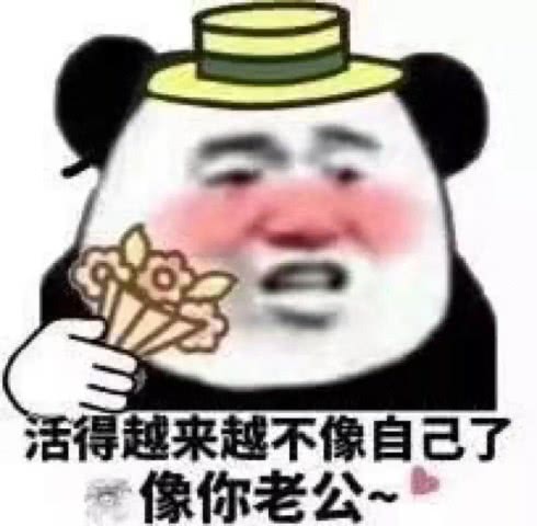 表情单身还不会撩强势告白表情包了解下,拿去撩喜欢的人超稳的表情
