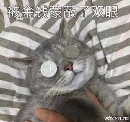 王者荣耀都开培训班了,只需8天带你青铜上王者