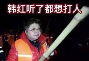 不哭表情包韩红