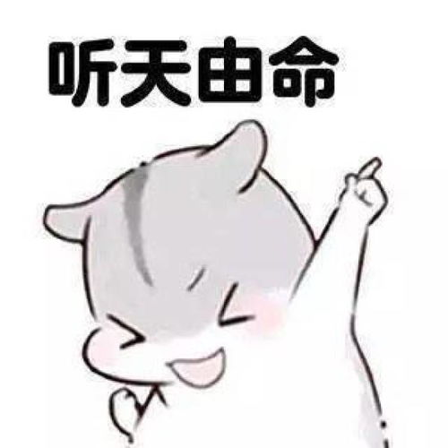 35张美食表情包,让你过年斗图不会输
