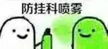 你们的驾校教练都说过哪些金句