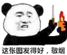 斗图表情包熊猫头小熊猫