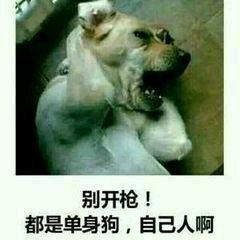 贱贱的沙雕表情包大家好,给大家介绍一下这是我女朋友