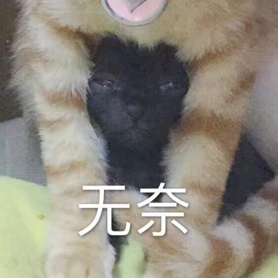 车中传来救命声,收费站小哥举着拖把救下被绑架人