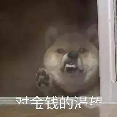 日常沙雕聊天表情