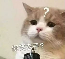 沙雕搞笑萌宠表情包