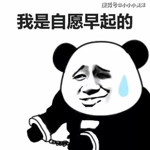 突然感觉这么多年书白读了,智商被按在地上摩擦