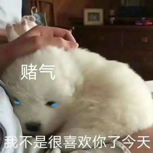 e句话打工人租房一定要小心串串房