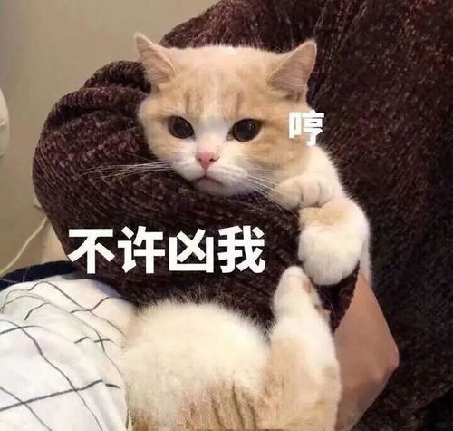 这几个星座男根本就是撒娇精本精嘛