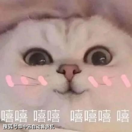 10,000,000宠粉福利这个免单中吉支付宝请了