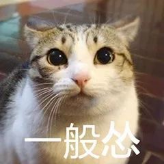扎心了广州离婚率全国第四连对象都没有就开始不相信爱情了