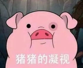 电脑报京东也养猪了果然互联网巨头们都跟猪有一腿