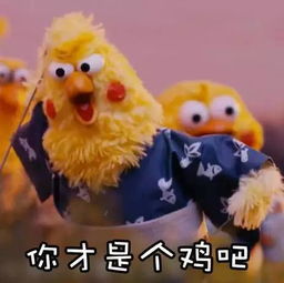 上海年初二气温飙升到20度随后12小时雪崩式降温16度