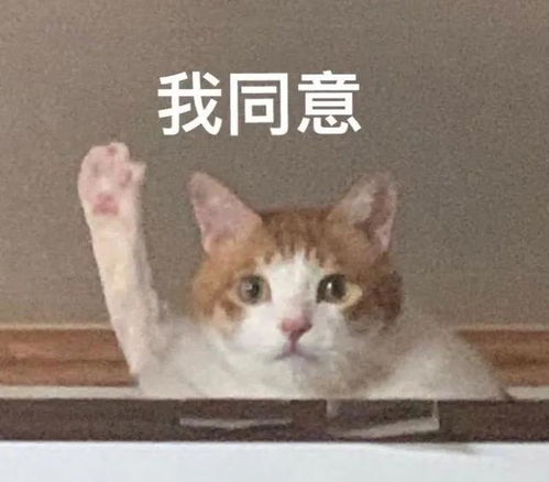 黑黄皮怎么变白这题我会