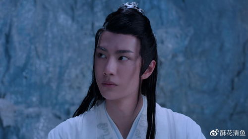 相聚有时,再会关于陈情令演员王一博肖战忘羡