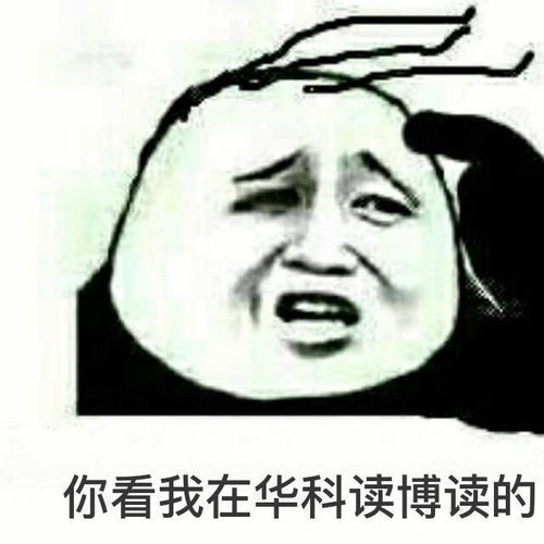 暴漫熊猫人表情包放马