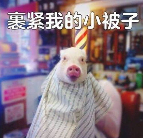 大寒遇寒潮,冻真格了乐山强降温来了,最低温仅