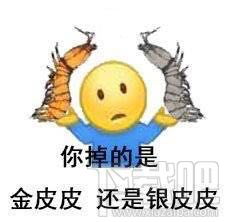 皮皮虾表情之皮皮虾停车场皮皮虾表情大全