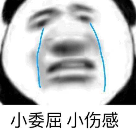 熊猫头斗图聊天表情包