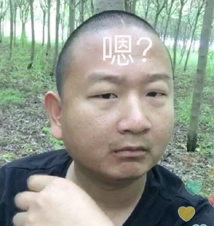 请您发红包狗狗拜年表情包过年要红包表情包