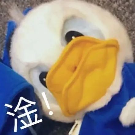 22考研月详细规划来啦详细经验分享