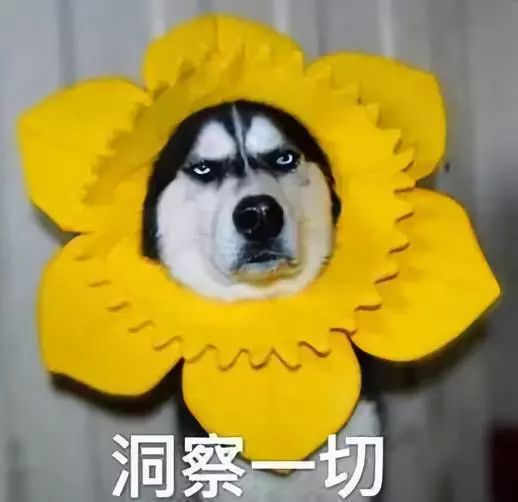在广电掌握这些技能,漂亮的创收成绩单就是你的啦